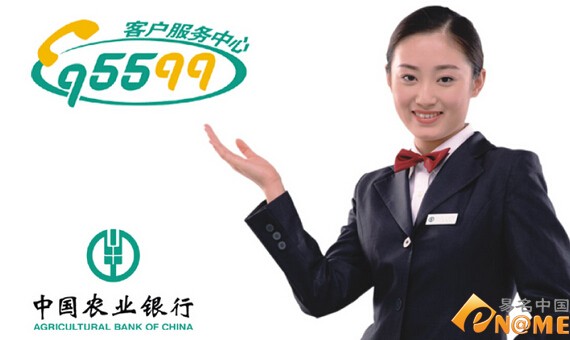 中国农行客服号域名95599.com七位数成交